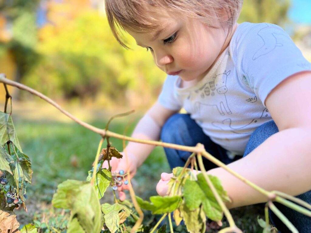 Ardmore Montessori Children's House